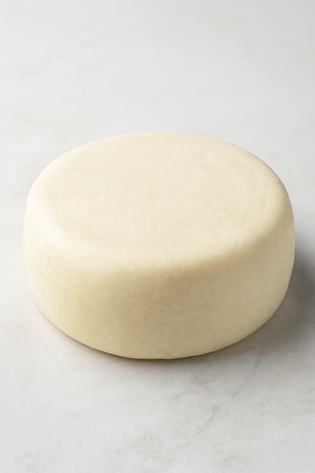 Suluguni Cheese (Head)